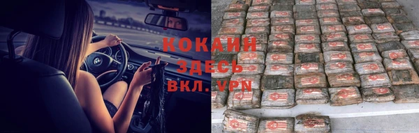 стаф Белоозёрский