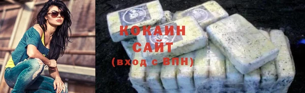 стаф Белокуриха