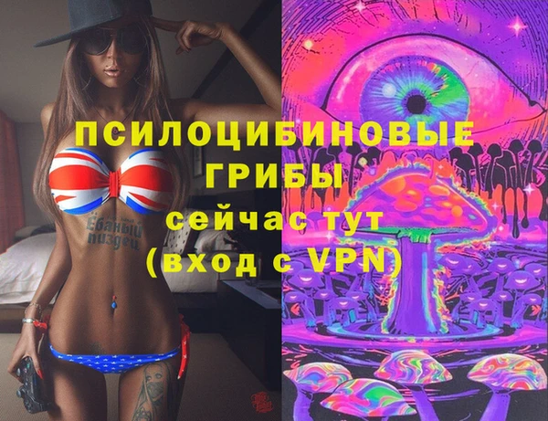 стаф Белокуриха