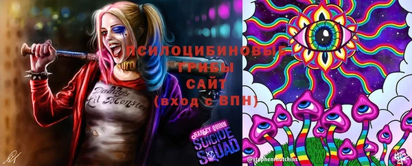 стаф Белоозёрский