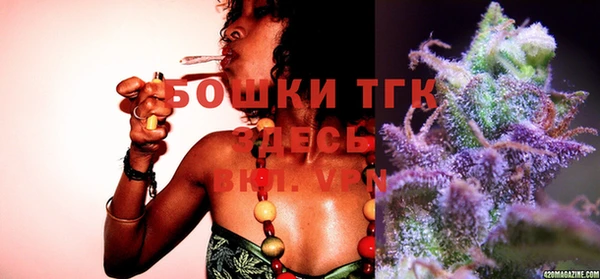 стаф Белокуриха