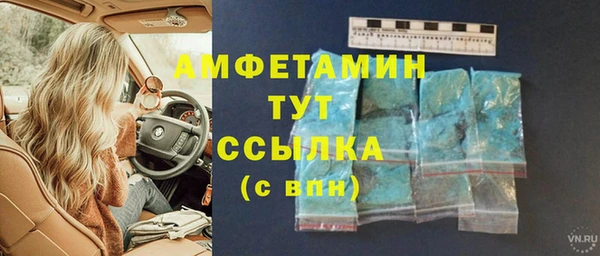 стаф Белокуриха
