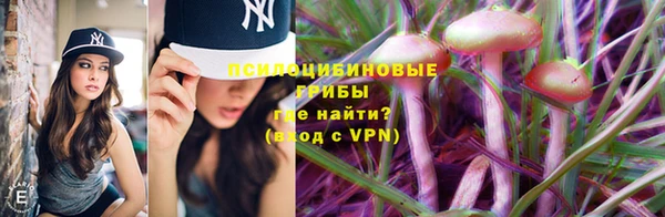 стаф Белоозёрский