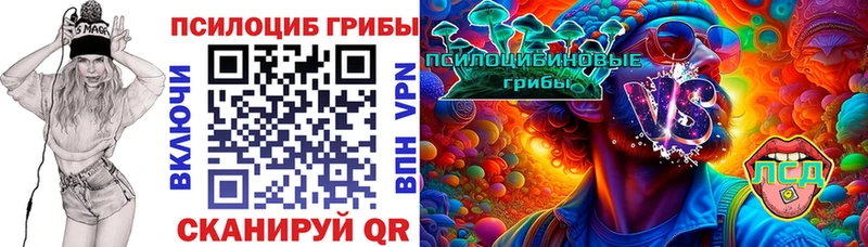 Псилоцибиновые грибы мицелий  Высоцк 